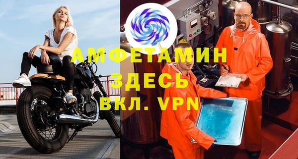 сатива Новодвинск