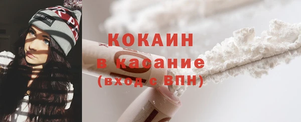 дживик Алзамай