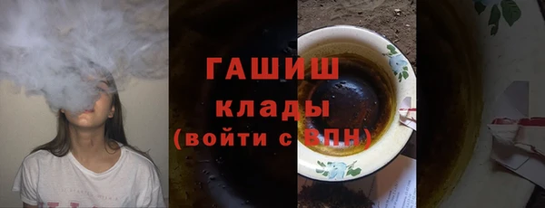 сатива Новодвинск