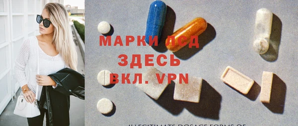 сатива Новодвинск