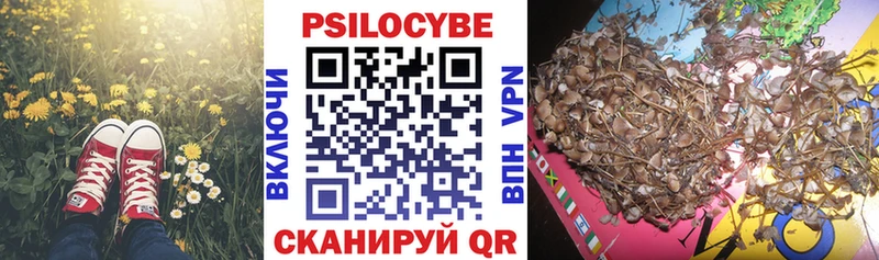 Псилоцибиновые грибы мицелий  мега ссылки  Усть-Илимск 